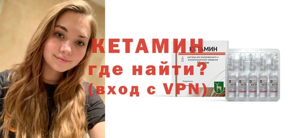 индика Сатка