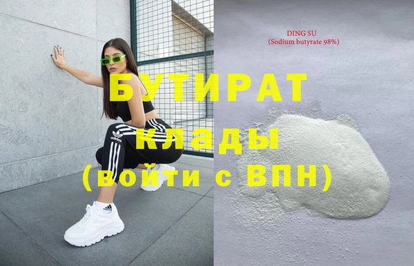 индика Сатка