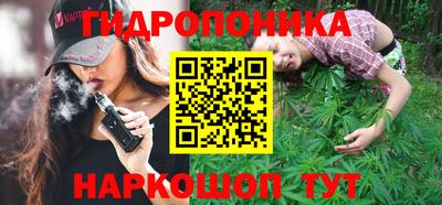 дмт Камышлов