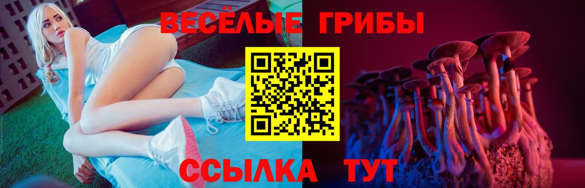 Галлюциногенные грибы ЛСД  Вход с VPN  где найти   Лыткарино 